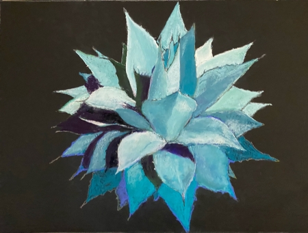 Agave%20in%20Blue by artist Lillian Buchanan